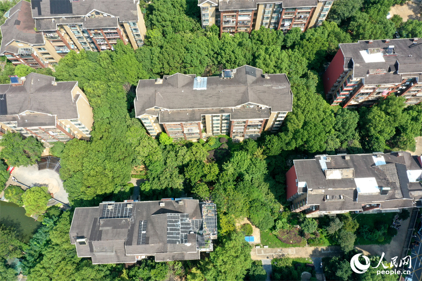 南昌紅谷灘區一小區內綠意盎然。 人民網記者 時雨攝