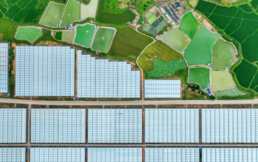 俯瞰南豐縣桑田鎮大棚蔬菜基地，連片大棚與民房、田野相互映襯，山鄉風景秀美如畫。李煜祖攝