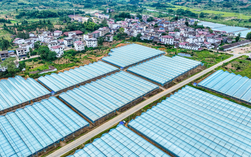 俯瞰南豐縣桑田鎮大棚蔬菜基地，連片大棚與民房、田野相互映襯，山鄉風景秀美如畫。李煜祖攝