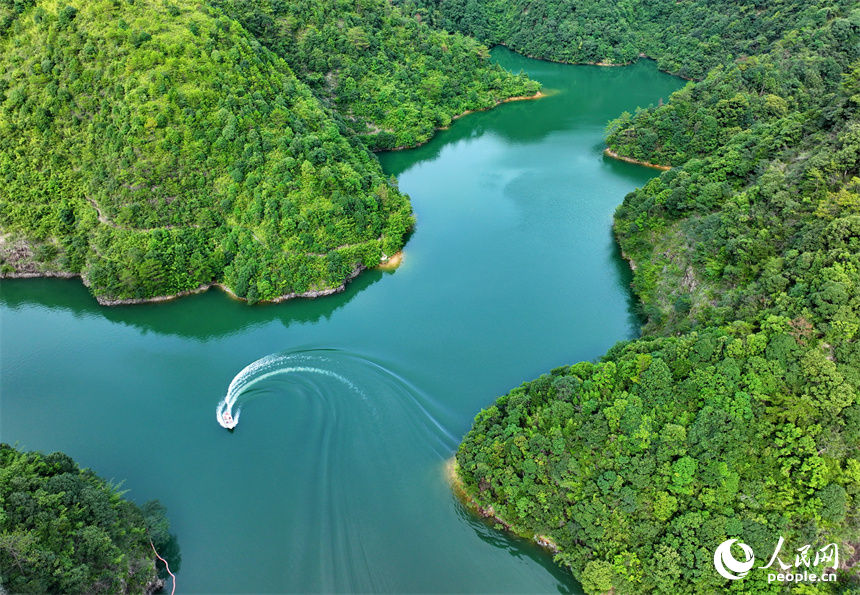 近日，江西省贛州市安遠縣三百山東風湖，生態保潔員駕駛保潔船在清理水面漂浮物。人民網 朱海鵬攝