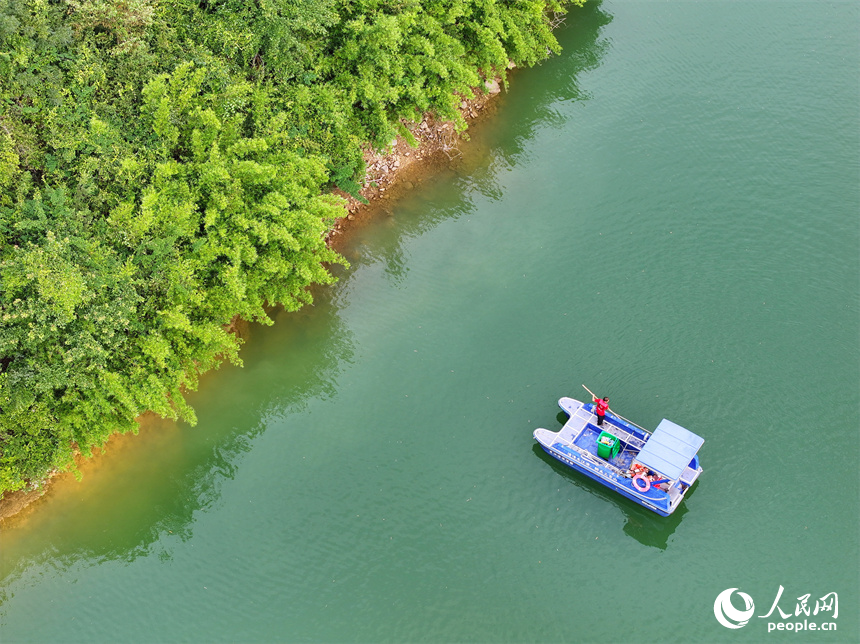 近日，江西省贛州市安遠縣三百山東風湖，生態保潔員駕駛保潔船在清理水面漂浮物。人民網 朱海鵬攝