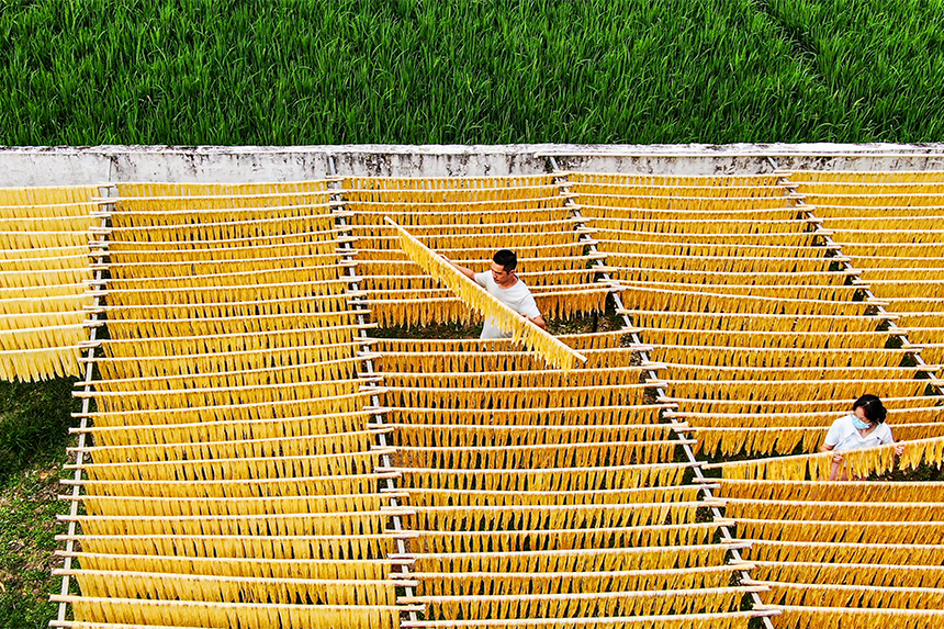 工人正在晾曬腐竹。詹繼成攝