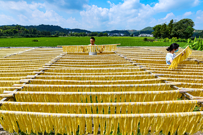 工人正在晾曬腐竹。詹繼成攝