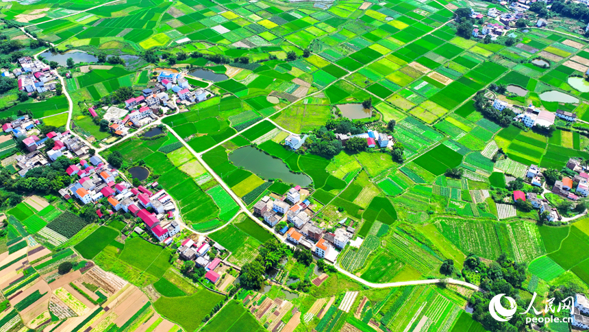 航拍信豐縣西牛鎮東甫村，宛如一幅秋季美麗鄉村畫卷。人民網 朱海鵬攝
