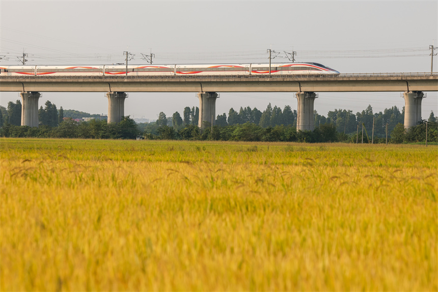 穿梭在田野上的高鐵猶如鋼鐵巨龍，在橋上迎面交匯。車馳攝