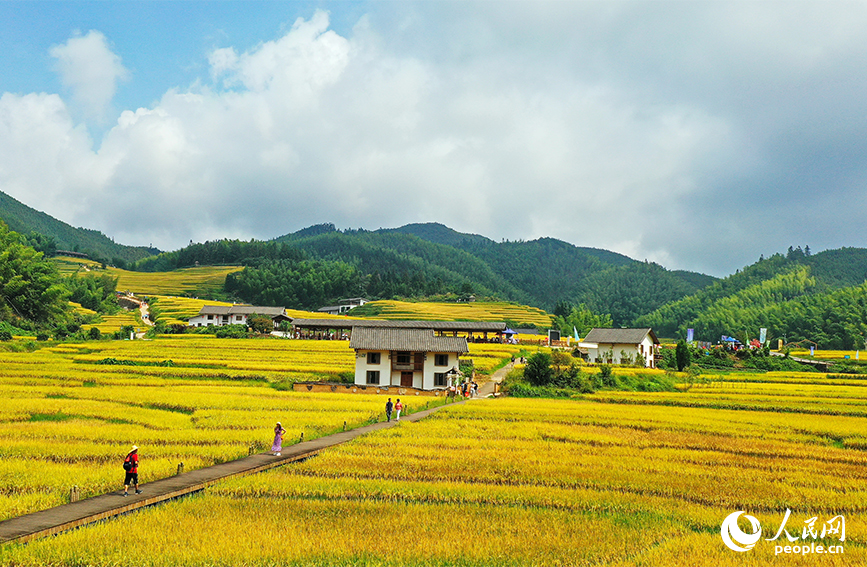 航拍江西省贛州市崇義縣上堡鄉上堡梯田。人民網 朱海鵬攝