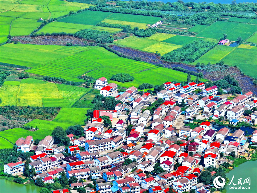 航拍江西省南昌市南昌縣富山鄉灘上村，鱗次櫛比的農房與濕地、田園相映成趣。人民網 朱海鵬攝