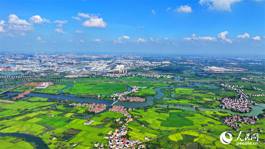 航拍江西省南昌市南昌縣富山鄉灘上村，鱗次櫛比的農房與濕地、田園相映成趣。人民網 朱海鵬攝