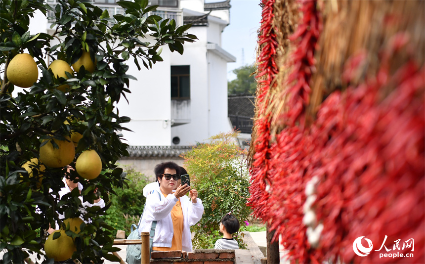 游客們在婺源縣秋口鎮王村石門自然村觀賞曬秋美景。 人民網記者 時雨攝
