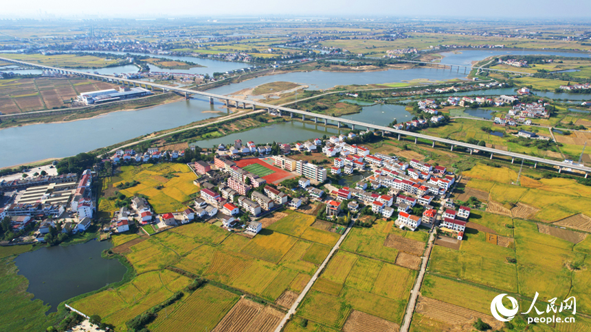 航拍南昌縣涇口鄉，廣袤的稻田與村莊、道路、橋梁構成了一幅美麗的豐收畫卷。人民網記者 毛思遠攝