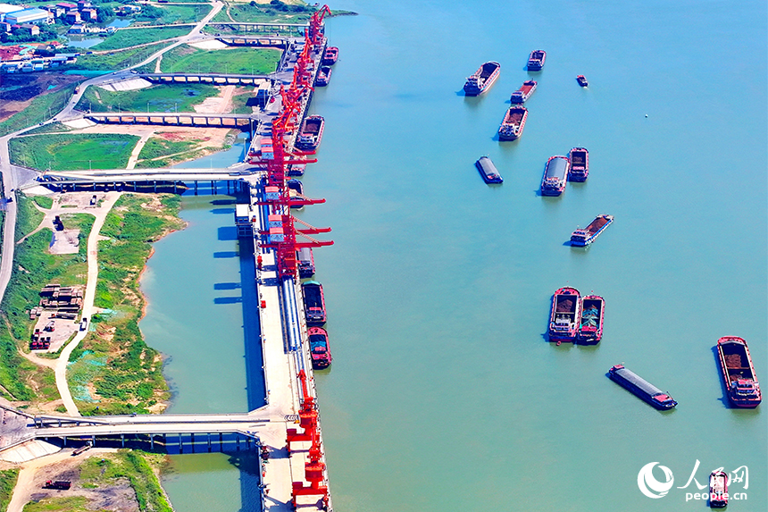 集裝箱裝卸作業有序進行，碼頭一片繁忙景象。人民網 朱海鵬攝