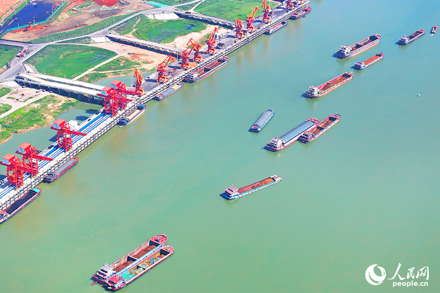 集裝箱裝卸作業有序進行，碼頭一片繁忙景象。人民網 朱海鵬攝