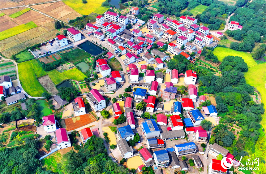 航拍鏡頭下一幅多彩斑斕的秋日畫卷。人民網 朱海鵬攝