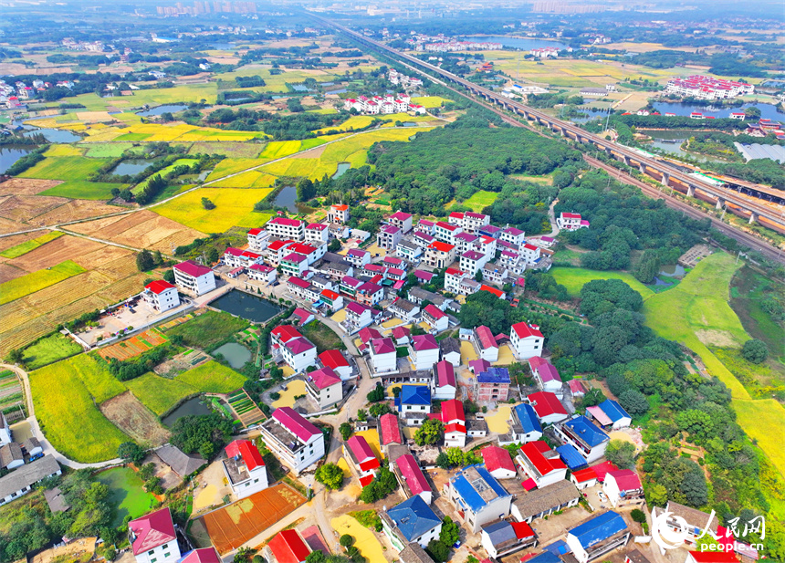 航拍鏡頭下一幅多彩斑斕的秋日畫卷。人民網 朱海鵬攝