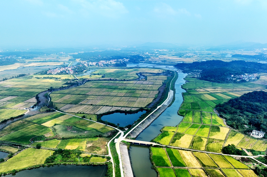 航拍鏡頭下的共青城市澤泉鄉，目之所及皆是美景。潘成攝
