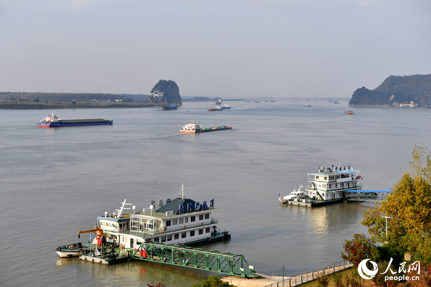 長江彭澤段繁忙的黃金水道。 人民網記者 時雨攝