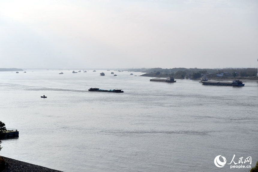 長江彭澤段繁忙的黃金水道。 人民網記者 時雨攝