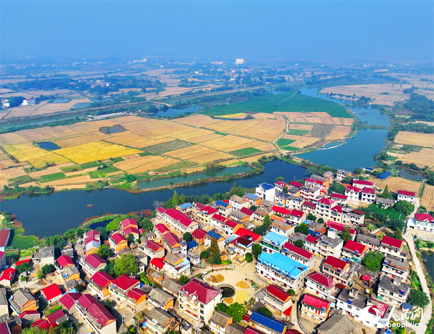 近日，江西省南昌市南昌縣岡上鎮安仁村，滬昆高速公路穿境而過，沿線鱗次櫛比的農房與稻田、水系、綠樹相映襯，構成一幅深秋時節和美鄉村畫卷。人民網 朱海鵬攝