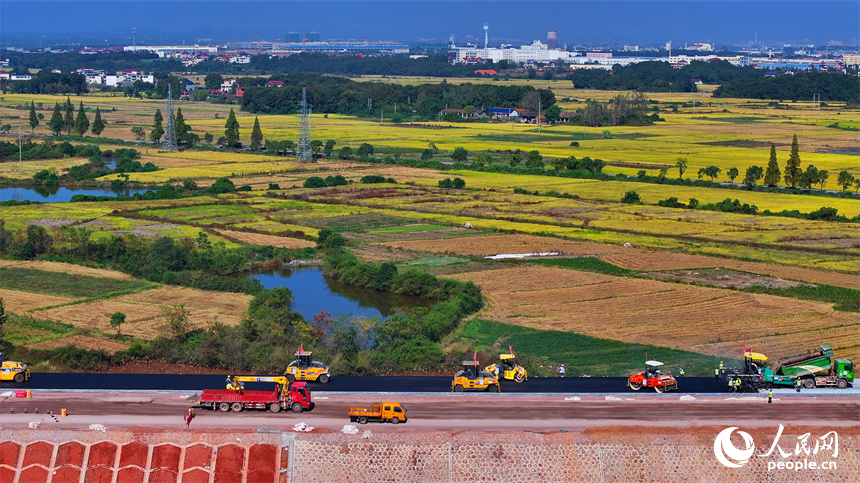 工人在加緊鋪設瀝青路面，一片繁忙施工景象。人民網 朱海鵬攝