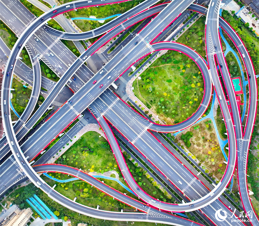 贛州市城區多條高架路上的三角梅競相綻放。人民網 朱海鵬攝