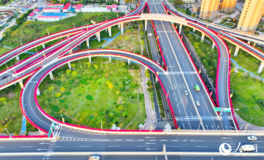 贛州市城區多條高架路上的三角梅競相綻放。人民網 朱海鵬攝