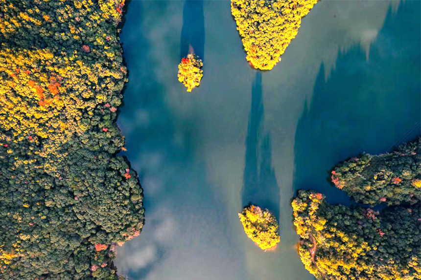 冬日時節，江西省贛州市信豐縣金盆山國家森林公園的龍井湖區色彩斑斕，美如畫卷。邱國偉攝