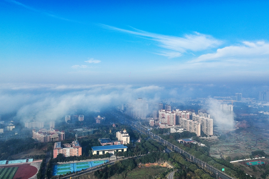 冬日的共青城云霧彌漫，云煙氤氳。潘成攝