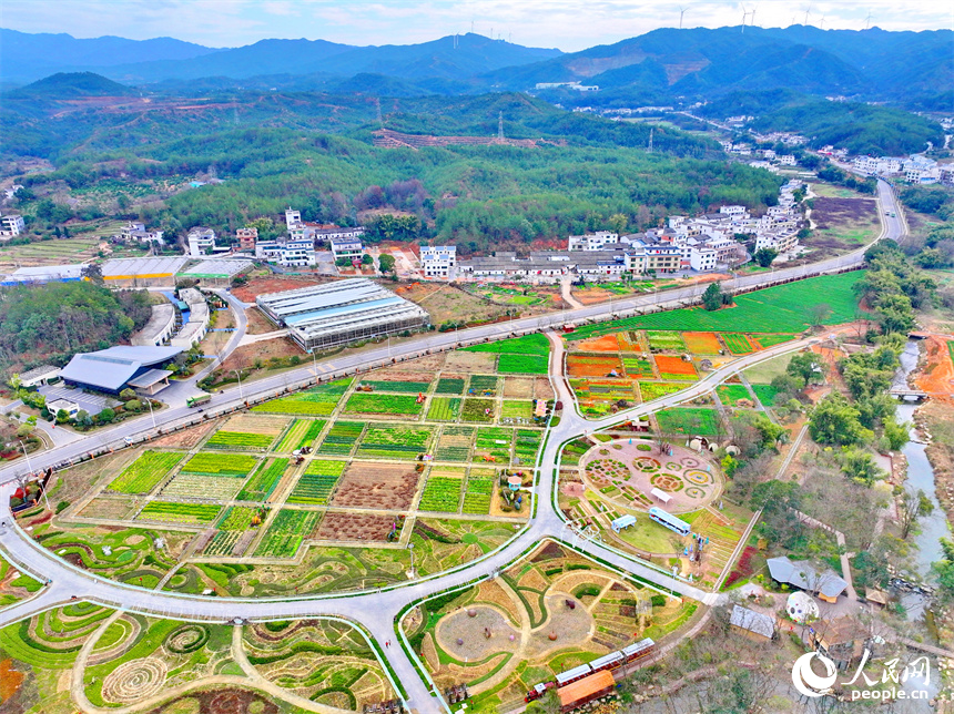 贛州蓉江新區潭東鎮逕背村的一處田園綜合體，綠意盎然的蔬菜園與公路農房、綠樹青山相映成景。人民網 朱海鵬攝