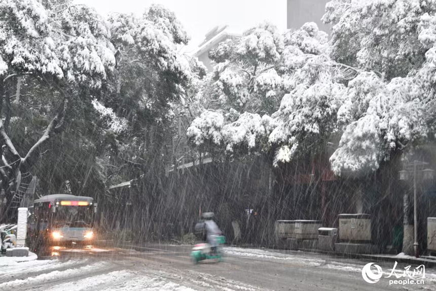 大雪飄落南昌，城市銀裝素裹。 人民網記者 時雨攝