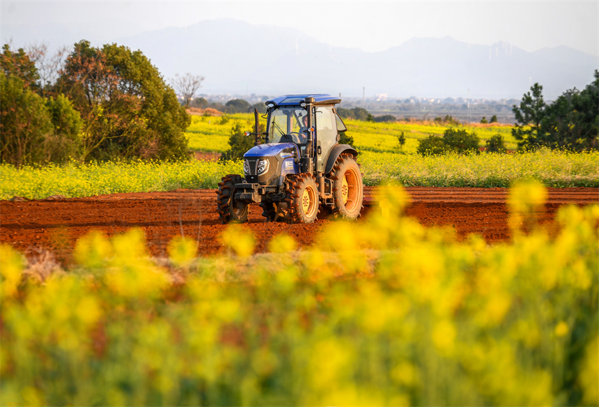 村民駕駛著農機在翻耕田地。周亮攝
