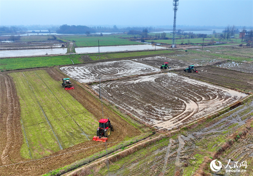 南昌市南昌縣塔城鄉青嵐村，農機手駕駛著拖拉機在翻耕農田，一派忙碌景象。人民網 朱海鵬攝