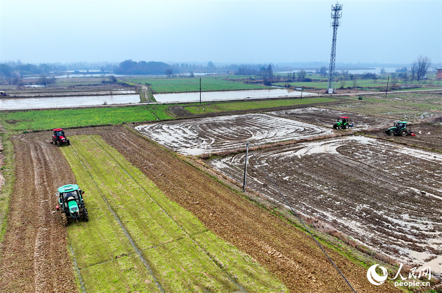 南昌市南昌縣塔城鄉青嵐村，農機手駕駛著拖拉機在翻耕農田，一派忙碌景象。人民網 朱海鵬攝