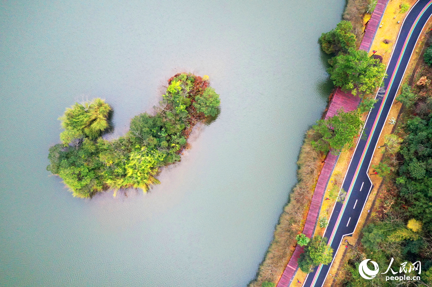 航拍鏡頭下的江西安遠三百山山清水秀生態美。 人民網記者 時雨攝