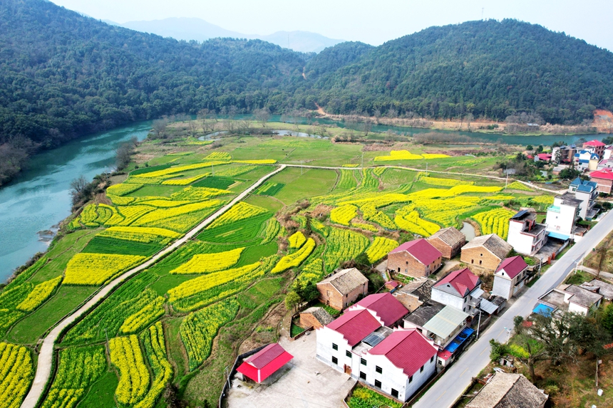 縱橫交錯的田園、河流、群山與民居相映成景。賀治斌攝