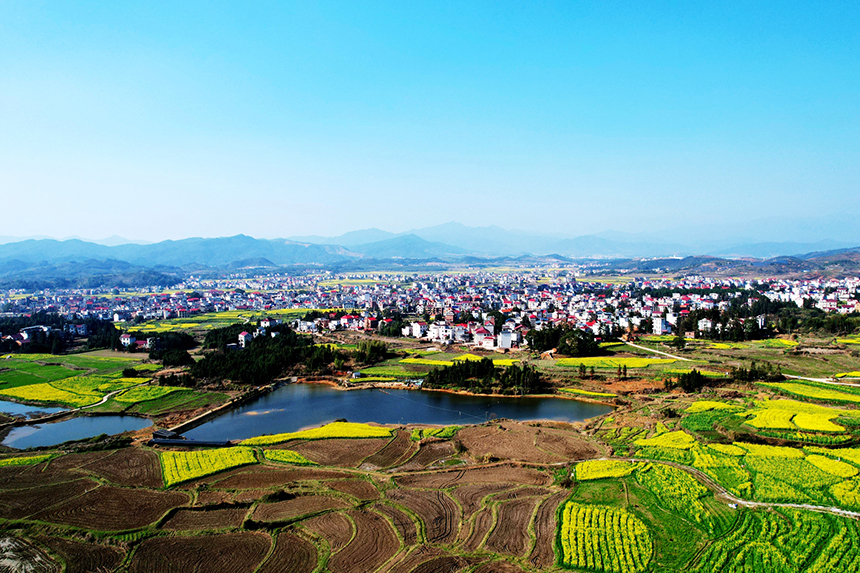 田園生態美 賀治斌攝