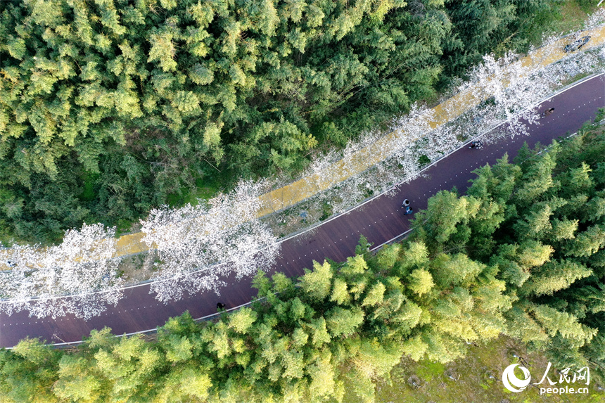 江西省南昌市贛江畔水清岸美春意濃，人們在步道上漫步享受春光。 人民網記者 時雨攝