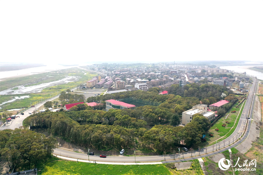 吳城鎮綠樹蔥蘢盡顯生態之美。 人民網記者 時雨攝