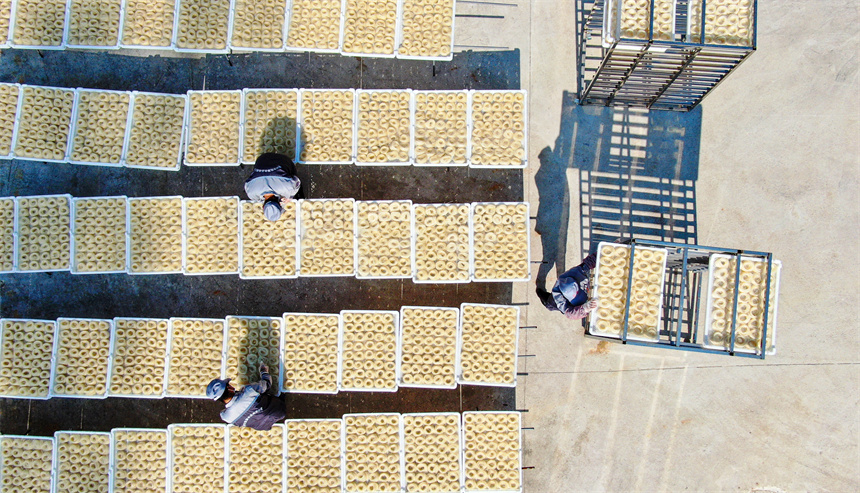 工人們正利用晴好天氣晾曬米粉。詹繼成攝