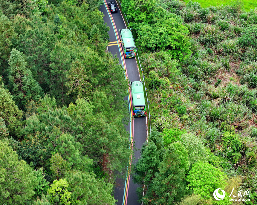贛州市安遠縣三百山鎮，觀光大巴車行駛在旅游公路上，公路沿線綠色生態風光怡人。人民網 朱海鵬攝