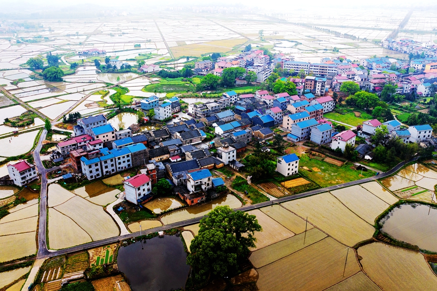 航拍鏡頭下的江西省吉安市吉水縣水南鎮春耕圖景。廖敏攝