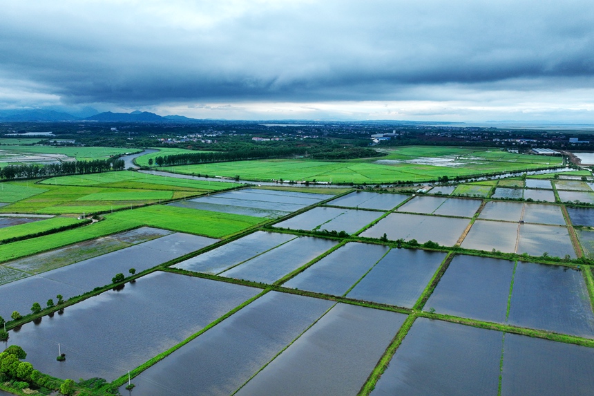 航拍下的江西共青城市宛如一幅水墨畫。潘成攝