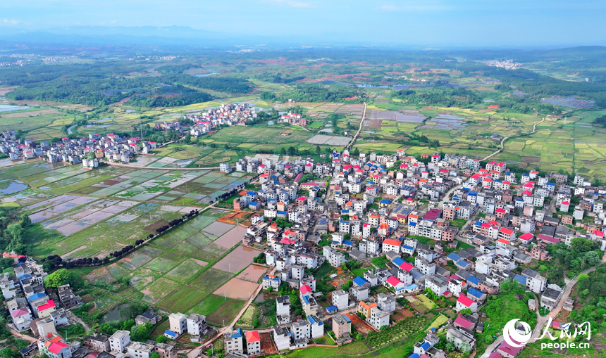 吉安市永新縣蓮洲鄉，阡陌縱橫，房屋林立，鄉村美景怡人。人民網 朱海鵬攝