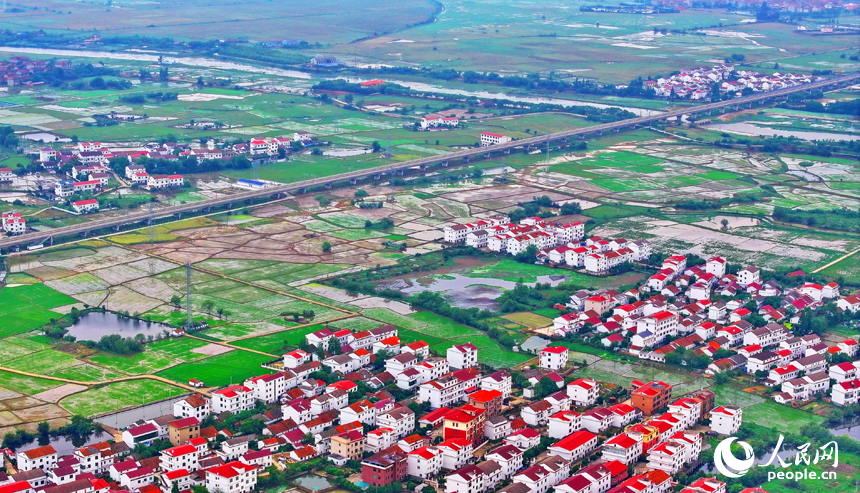 空中俯瞰南昌縣塘南鎮張溪村，一棟棟白墻紅瓦的農房與田園阡陌、綠樹碧水相互映襯，鄉村美景宜人。人民網 朱海鵬攝