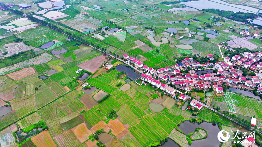 空中俯瞰南昌縣塘南鎮張溪村，一棟棟白墻紅瓦的農房與田園阡陌、綠樹碧水相互映襯，鄉村美景宜人。人民網 朱海鵬攝