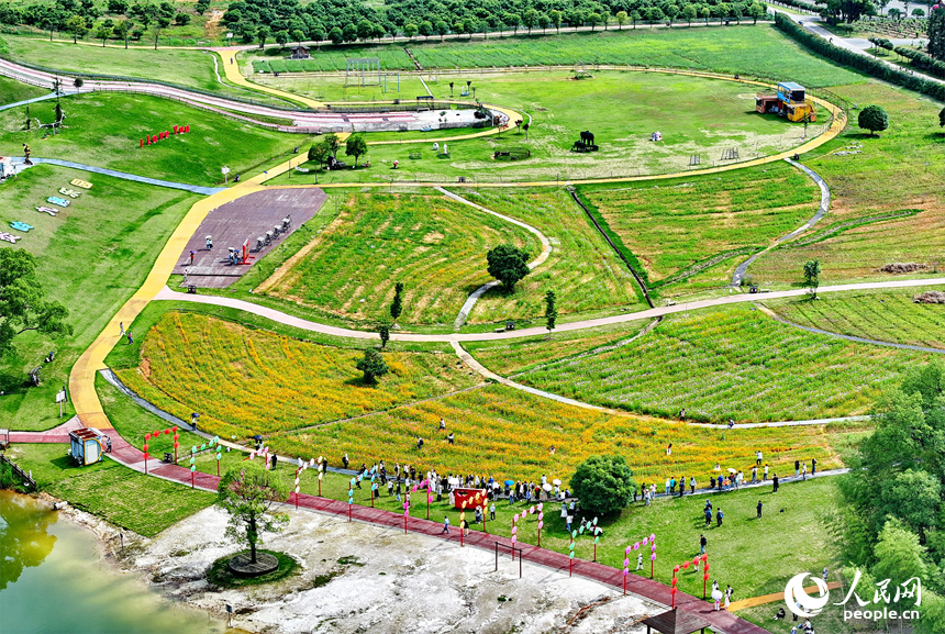 宜春市宜豐縣黃墾鎮炎嶺村鄉村旅游點，許多游客前來游玩、拍照，感受體驗初夏時節的山水田園生態風光之美。人民網 朱海鵬攝