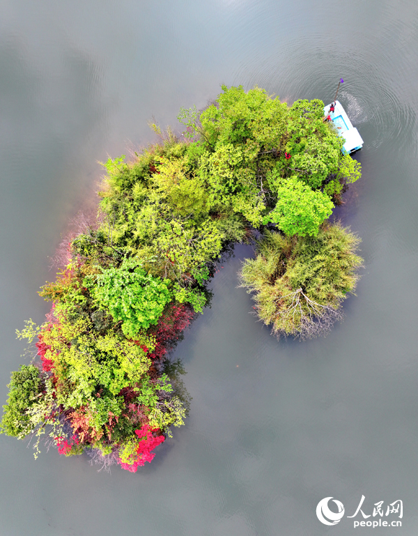 環保志愿者在贛州市安遠縣三百山鎮河道內巡河。人民網 朱海鵬攝