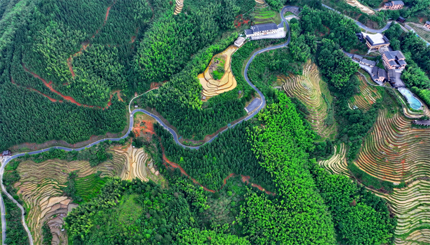 贛州市崇義縣上堡鄉，層層疊疊的梯田與森林、民宿、公路相互映襯，夏日綠色生態美景怡人。人民網 朱海鵬攝