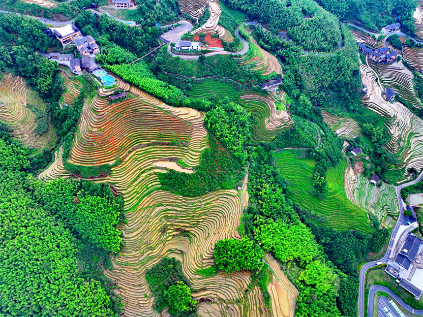 贛州市崇義縣上堡鄉，層層疊疊的梯田與森林、民宿、公路相互映襯，夏日綠色生態美景怡人。人民網 朱海鵬攝