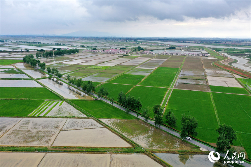 吳城鎮萬余畝良田經過高標準建設后，提高了農業綜合生產能力。人民網記者 時雨攝