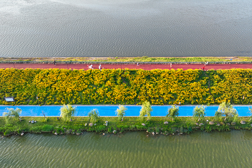 航拍江西省共青城市珍珠湖湖畔風景如畫。潘成攝